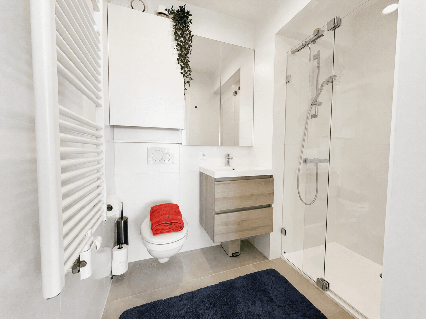 Moderne badkamer met inloopdouche
