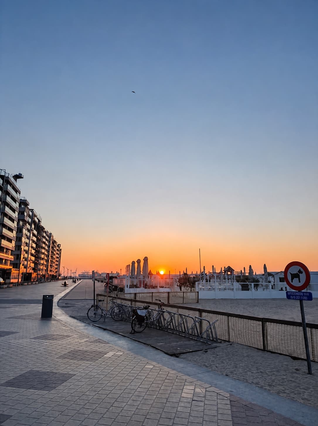 Zonsondergang aan de kust van Heist